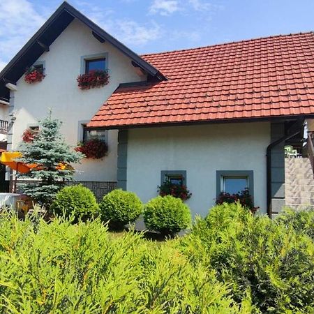Privatni Smestaj Tesevic Zlatibor Extérieur photo