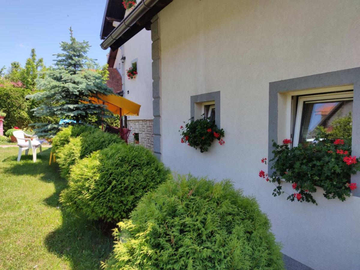 Privatni Smestaj Tesevic Zlatibor Extérieur photo