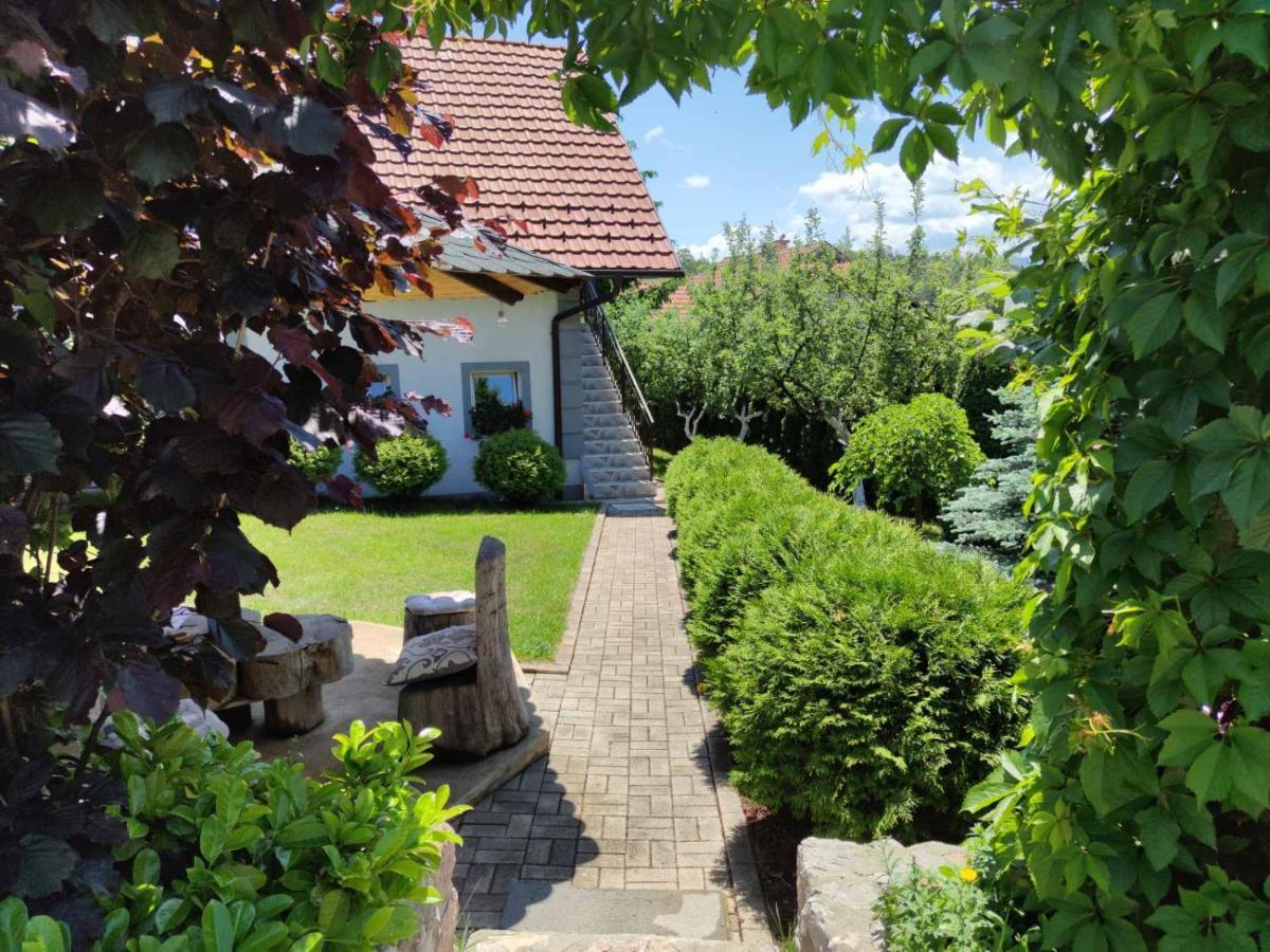 Privatni Smestaj Tesevic Zlatibor Extérieur photo