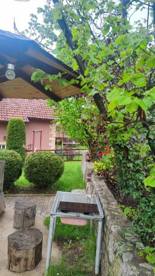 Privatni Smestaj Tesevic Zlatibor Extérieur photo