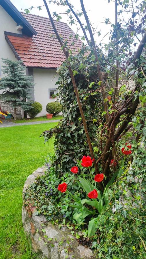 Privatni Smestaj Tesevic Zlatibor Extérieur photo