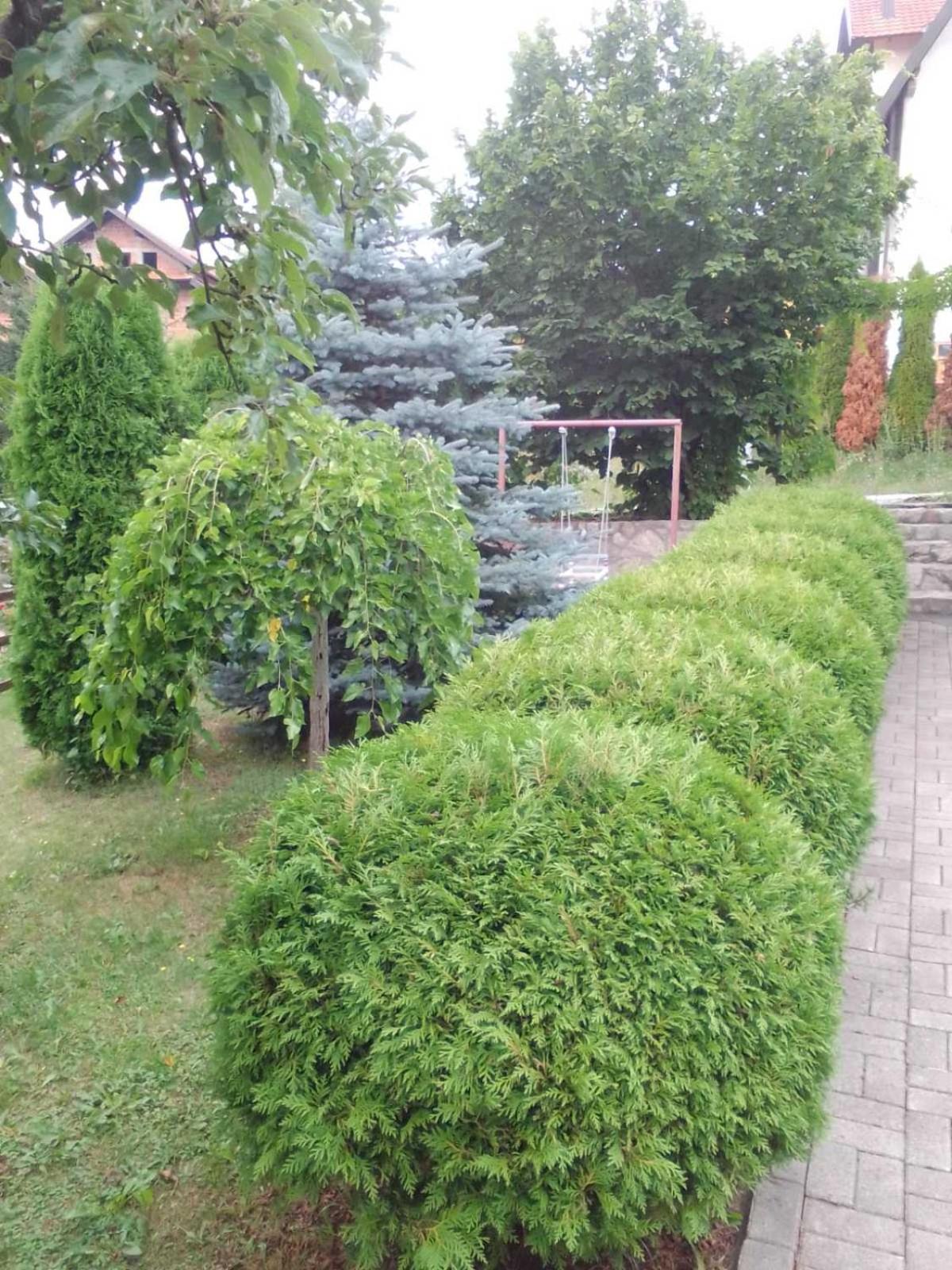 Privatni Smestaj Tesevic Zlatibor Extérieur photo