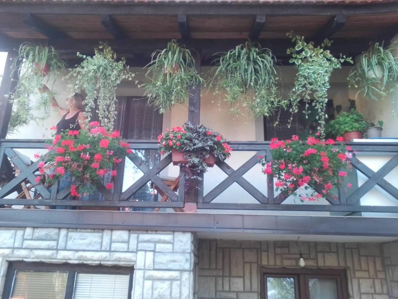 Privatni Smestaj Tesevic Zlatibor Extérieur photo